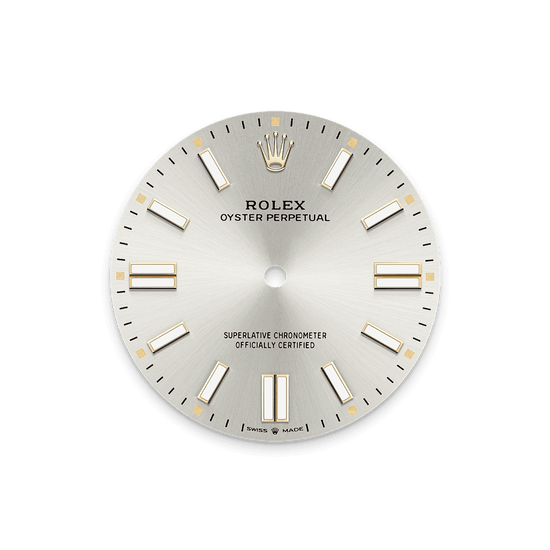 Rolex Replica Watch Oyster Perpetual, Oystersteel 41mm, Silver dial, Domed Oyster, 134300-0001