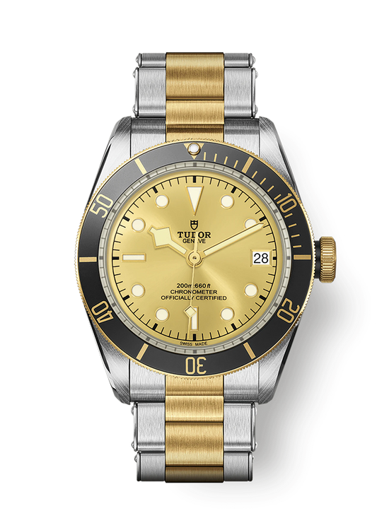 Tudor Replica Watch Black Bay S &G, 41mm, Stainless Steel and 18k Yellow Gold, M79733N-0004