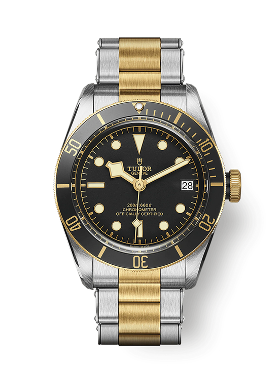 Tudor Replica Watch Black Bay S &G, 41mm, Stainless Steel and 18k Yellow Gold, M79733N-0008